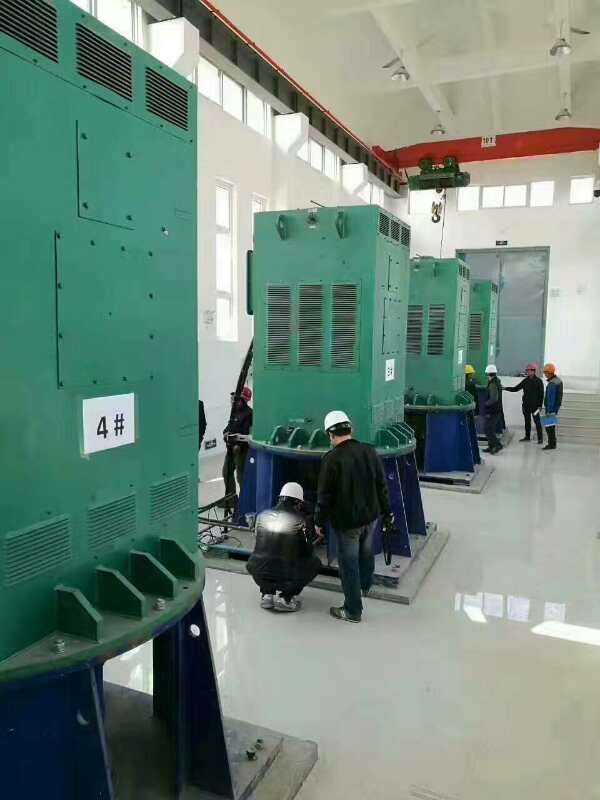 蜀山某污水处理厂使用我厂的立式高压电机安装现场